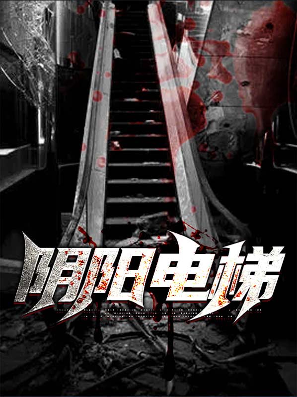 阴阳电梯