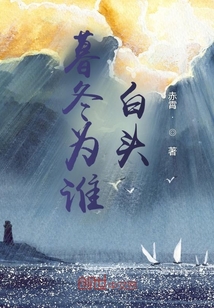 暮冬初雪至白头小说