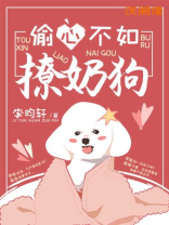 偷心不如撩奶狗