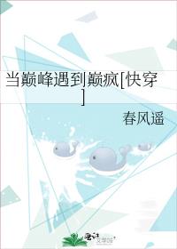 当巅峰遇到巅疯[快穿]讲的什么