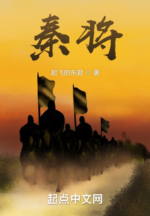 秦将军智能锁是几线品牌