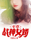 至尊战神女婿