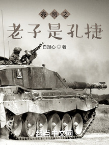 亮剑之老子是孔捷无错版