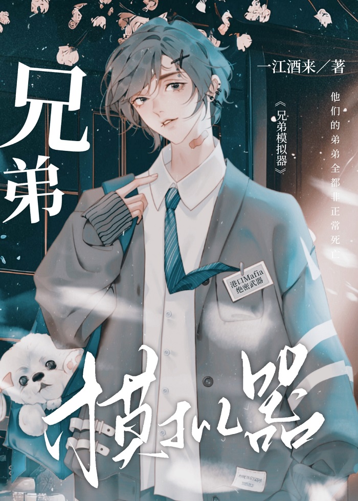 兄弟模拟器小说