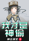 我只是一个路过的神偷罢了