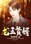 龙王赘婿文案