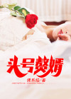 头号赘婿 tXt