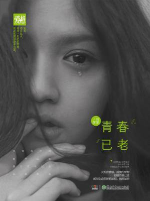 青春已老 小说