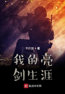 我的亮剑生涯小说