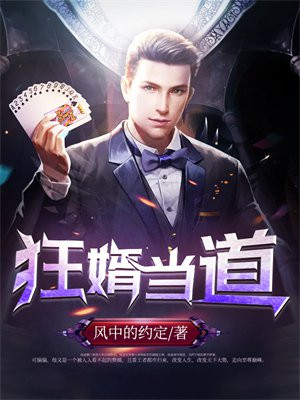 狂婿当道百度百科