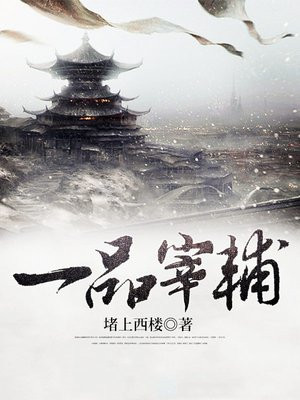 一品宰辅许小闲的真实身份