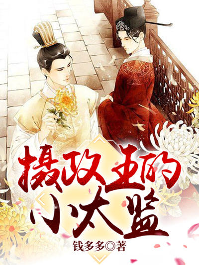 摄政王的小太监作者:钱多多
