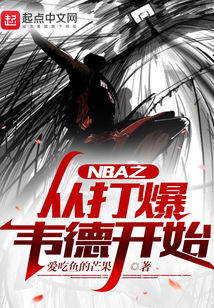 NBA之从打爆韦德开始 爱吃鱼的芒果