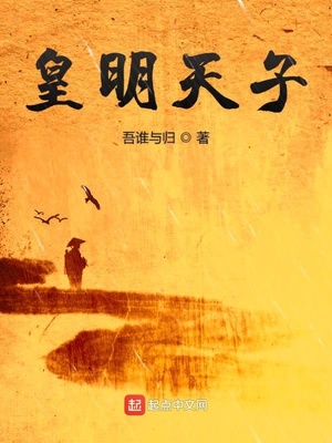 皇明天子下载