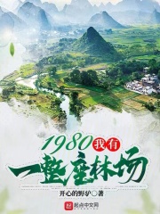 我有一座深山老林 小说