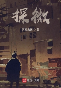 探微抉奥是什么意思