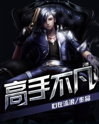 高手不凡TXT