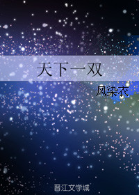 天下一双风染衣小说