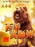 西游黄狮传 木冬寒