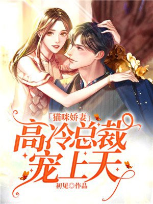 猫咪的高冷傲娇
