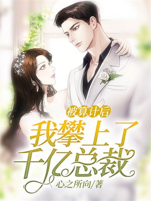 被算计了小说
