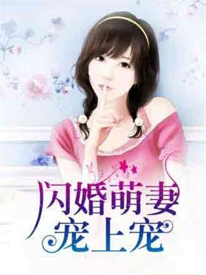 闪婚萌妻，宠上宠