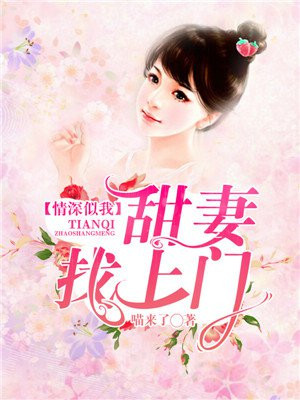 情深似浅全文免费阅读