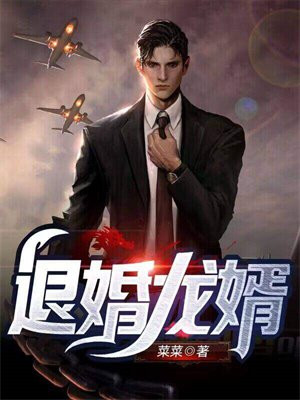 退婚龙婿江辰