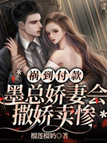 墨总宠妻不腻全本免费阅读