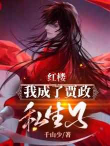 红楼：我成了贾政私生子