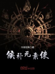 候补元素使 小说