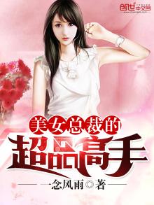 美女总裁的超品高手沈浪