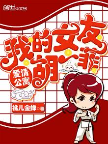 爱情公寓:我的女友胡一菲