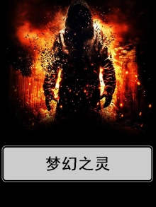 梦幻之灵登入器驯龙物语