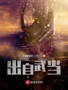 穿越武当开始 不睡觉的二哈