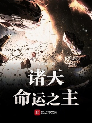 诸天命运之主 小说