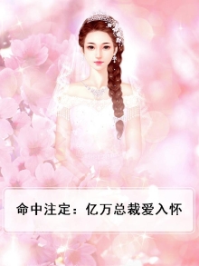 命中注定：亿万总裁爱入怀