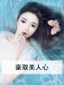 为寻美人心小说