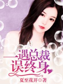 一遇总裁误终身 夏至花开