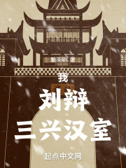我,刘辩,三兴汉室笔趣阁