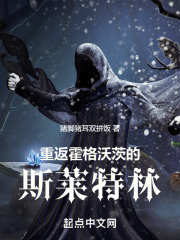 回到霍格沃茨的古代巫师作者:猪脚猪耳双拼饭