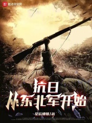 抗日从东北开始的小说