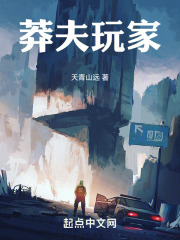 莽夫玩家 小说