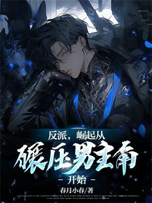 反派崛起的小说