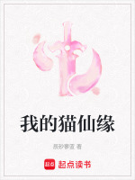 我的猫仙缘