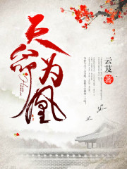 天命为凰陆明舒全文免费阅读
