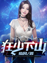 狂少下山 林飞羽小说