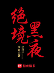绝境黑夜免费阅读全文最新章节