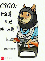 csgo什么叫历史第一人啊 小说