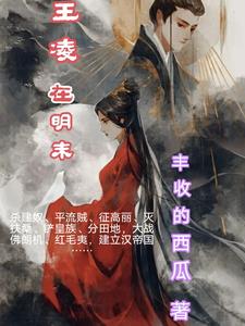 主角是王凌的小说